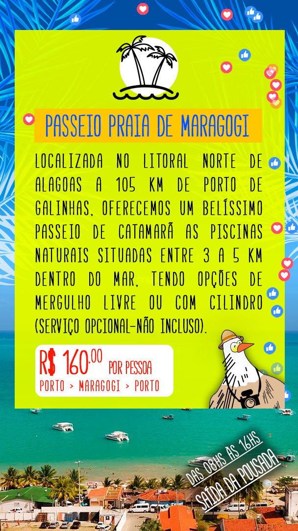 Passeio Praia de Maragogi