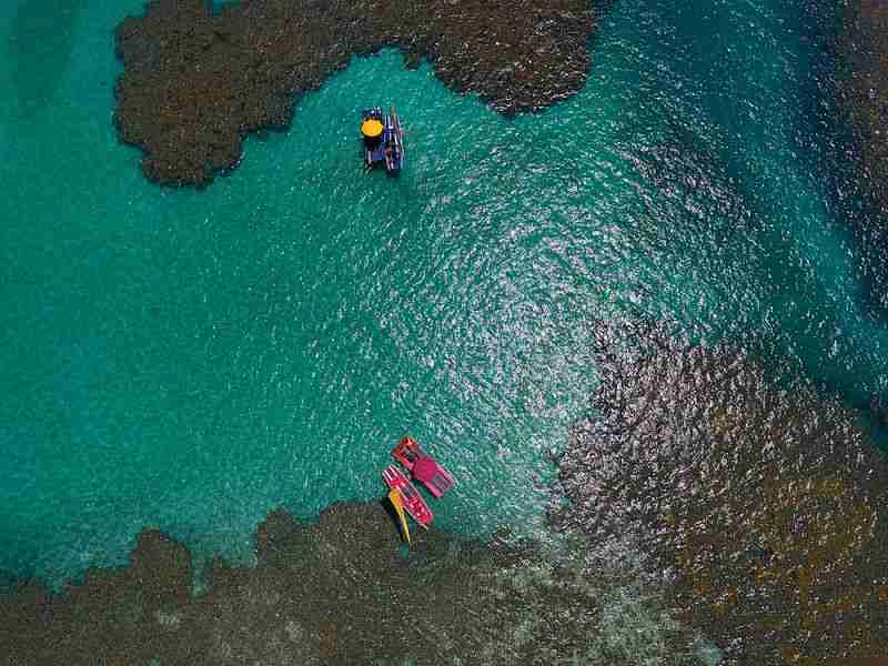 Bate Volta Porto de Galinhas