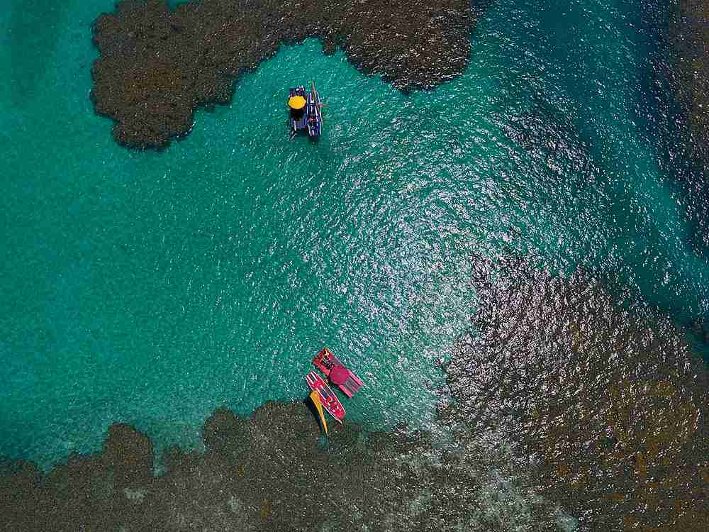 Bate Volta Porto de Galinhas