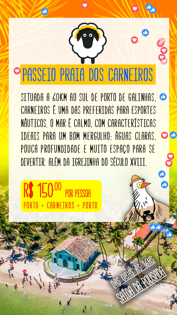 Passeio Praia dos Carneiros